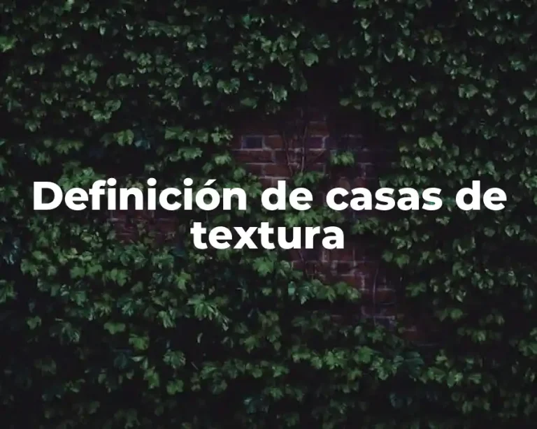 Definición de casas de textura