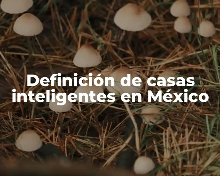 Definición de casas inteligentes en México