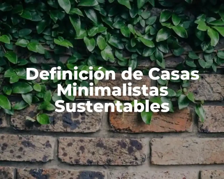 Definición de Casas Minimalistas Sustentables