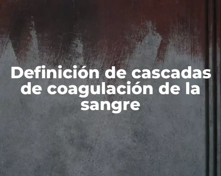 Definición de cascadas de coagulación de la sangre