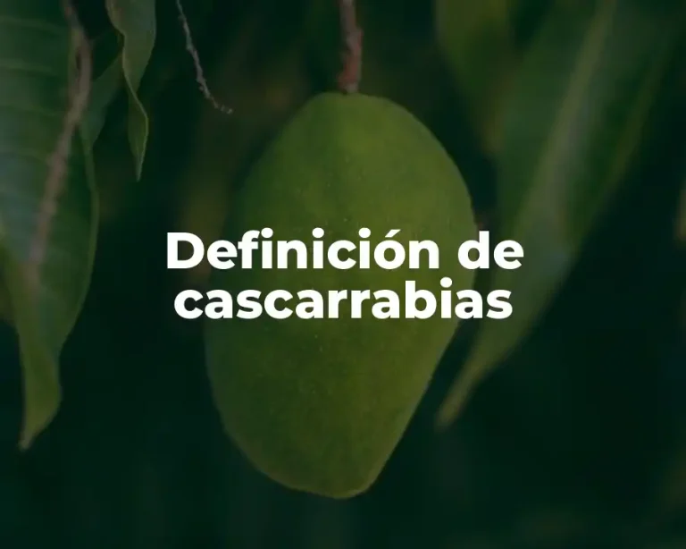 Definición de cascarrabias