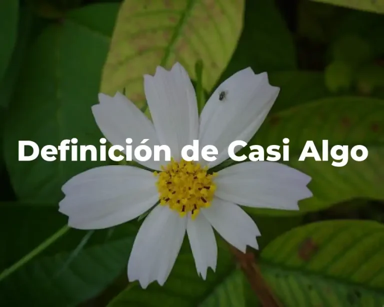 Definición de Casi Algo