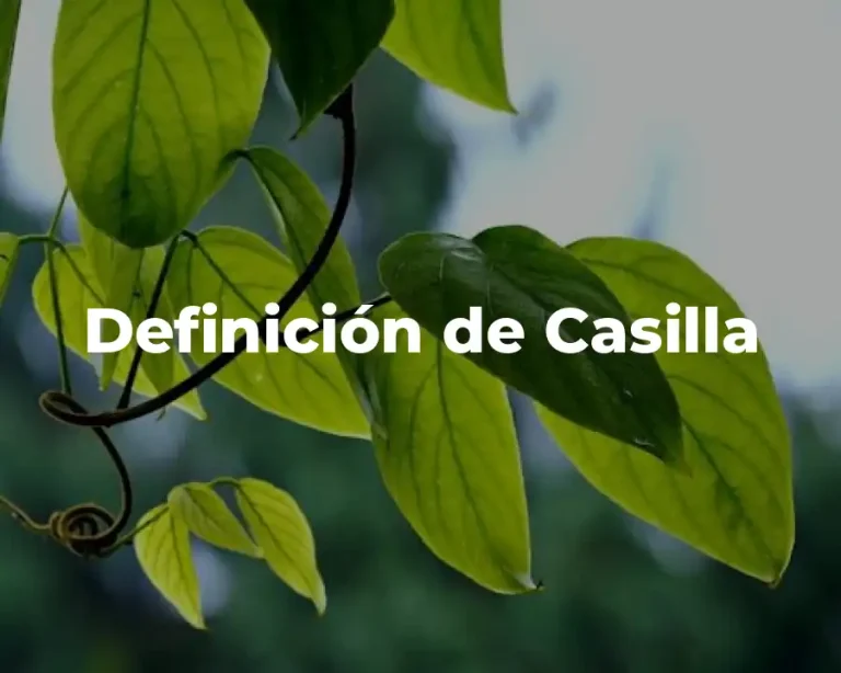 Definición de Casilla