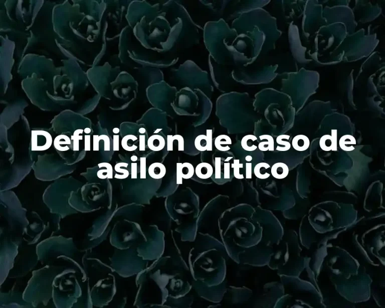 Definición de caso de asilo político