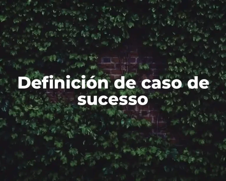Definición de caso de sucesso