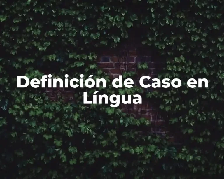 Definición de Caso en Língua