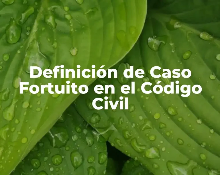 Definición de Caso Fortuito en el Código Civil
