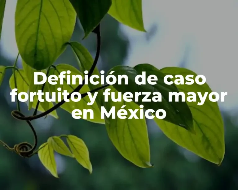 Definición de caso fortuito y fuerza mayor en México