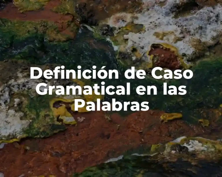 Definición de Caso Gramatical en las Palabras
