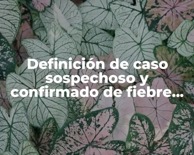 Definición de caso sospechoso y confirmado de fiebre tifoidea bolivia