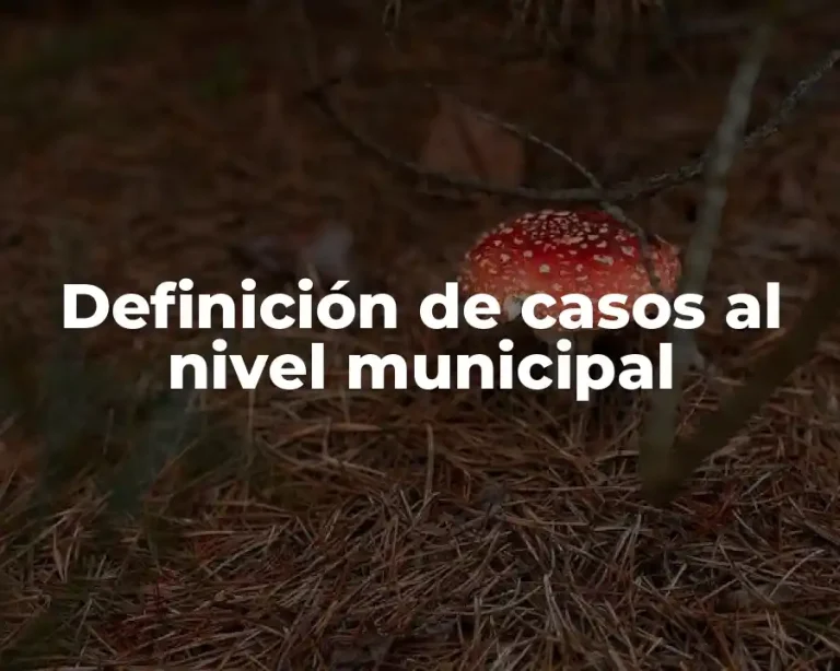 Definición de casos al nivel municipal