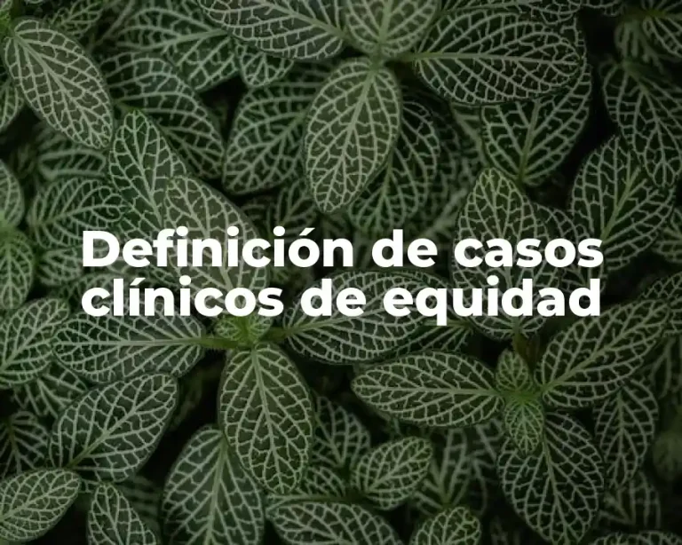 Definición de casos clínicos de equidad