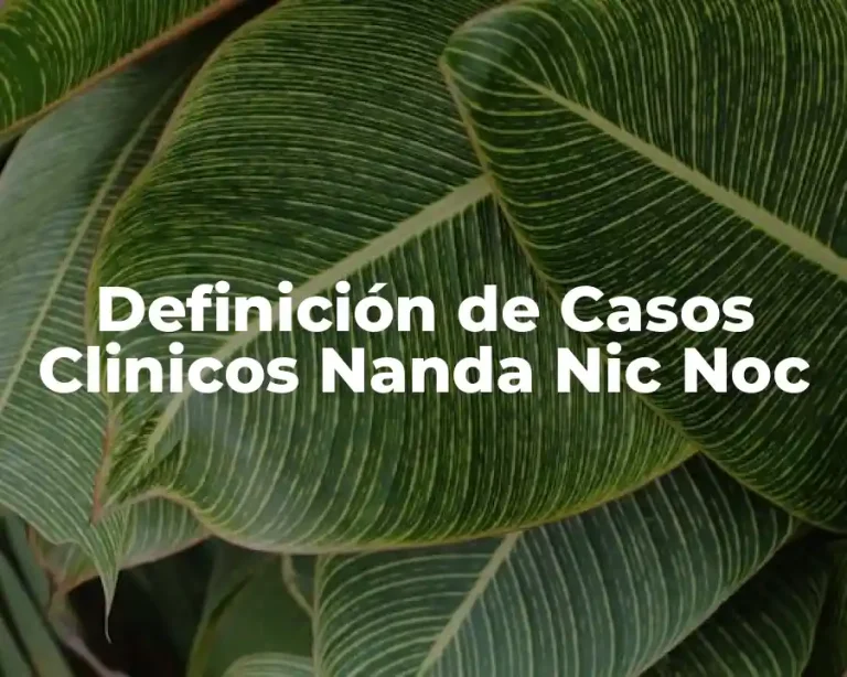 Definición de Casos Clinicos Nanda Nic Noc