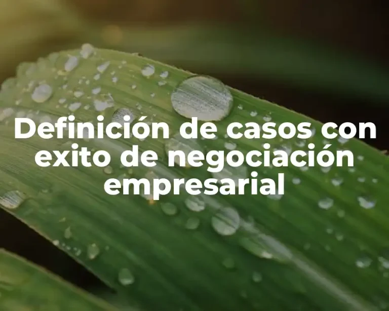 Definición de casos con exito de negociación empresarial