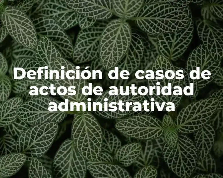 Definición de casos de actos de autoridad administrativa