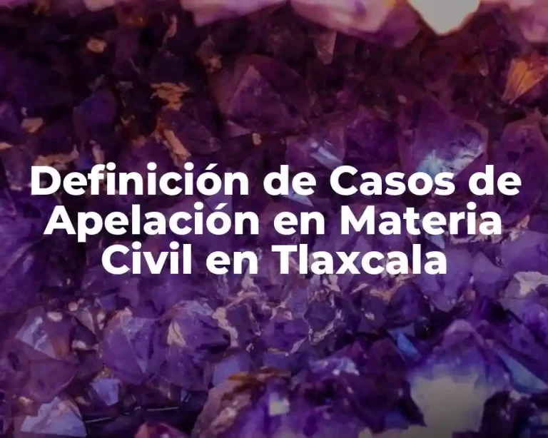 Definición de Casos de Apelación en Materia Civil en Tlaxcala