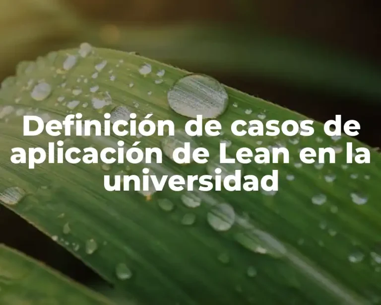 Definición de casos de aplicación de Lean en la universidad