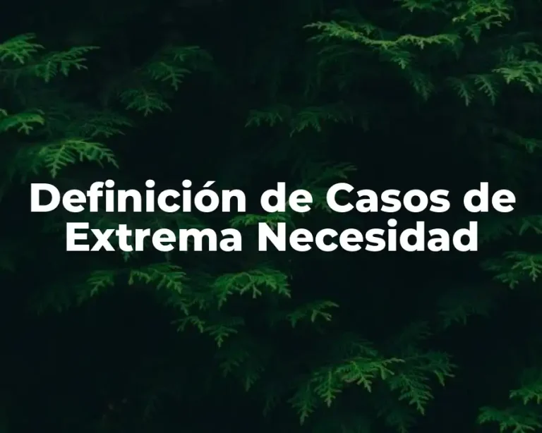 Definición de Casos de Extrema Necesidad