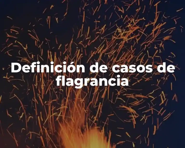 Definición de casos de flagrancia