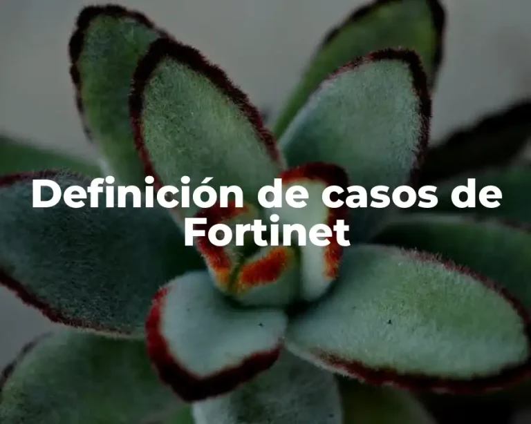 Definición de casos de Fortinet