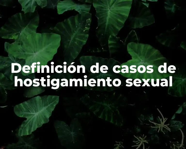 Definición de casos de hostigamiento sexual