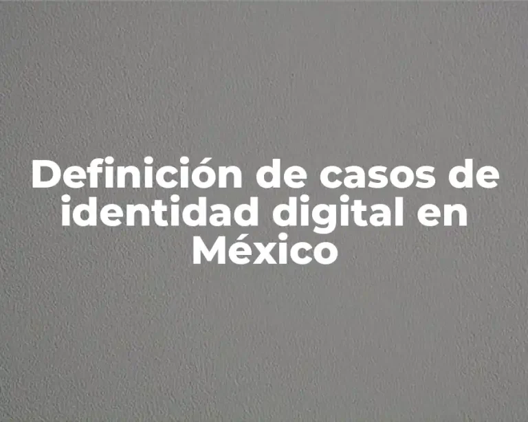 Definición de casos de identidad digital en México