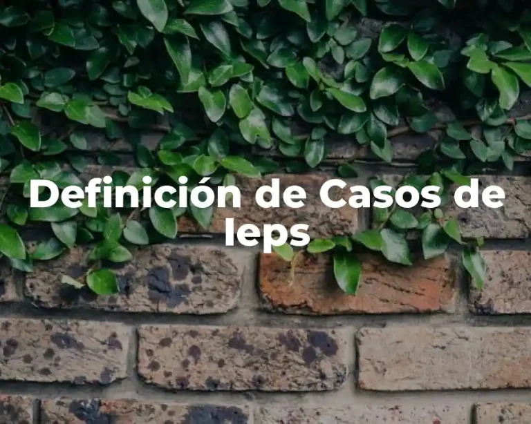 Definición de Casos de Ieps