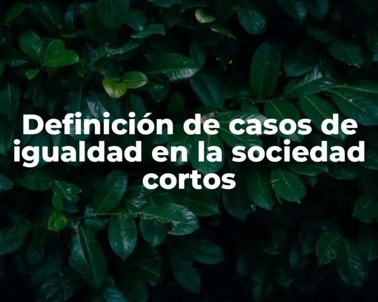 Definición de casos de igualdad en la sociedad cortos