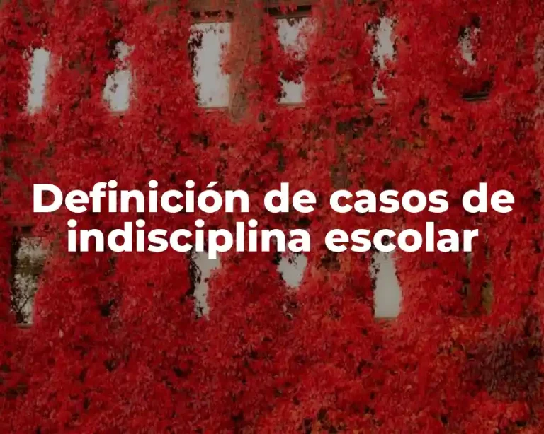 Definición de casos de indisciplina escolar