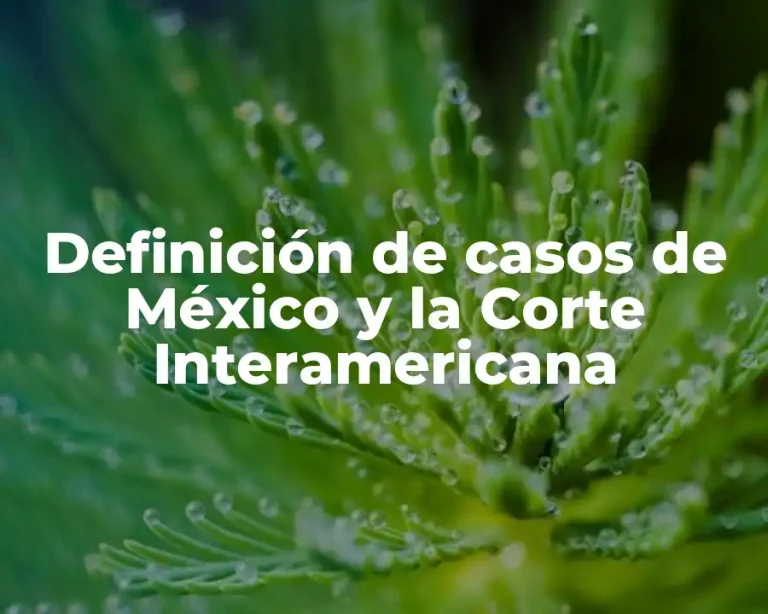 Definición de casos de México y la Corte Interamericana