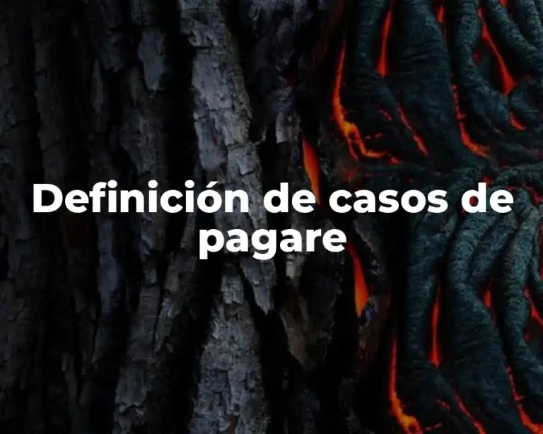 Definición de casos de pagare