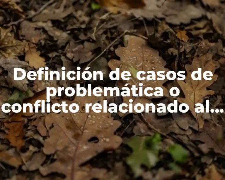 Definición de casos de problemática o conflicto relacionado al liderazgo