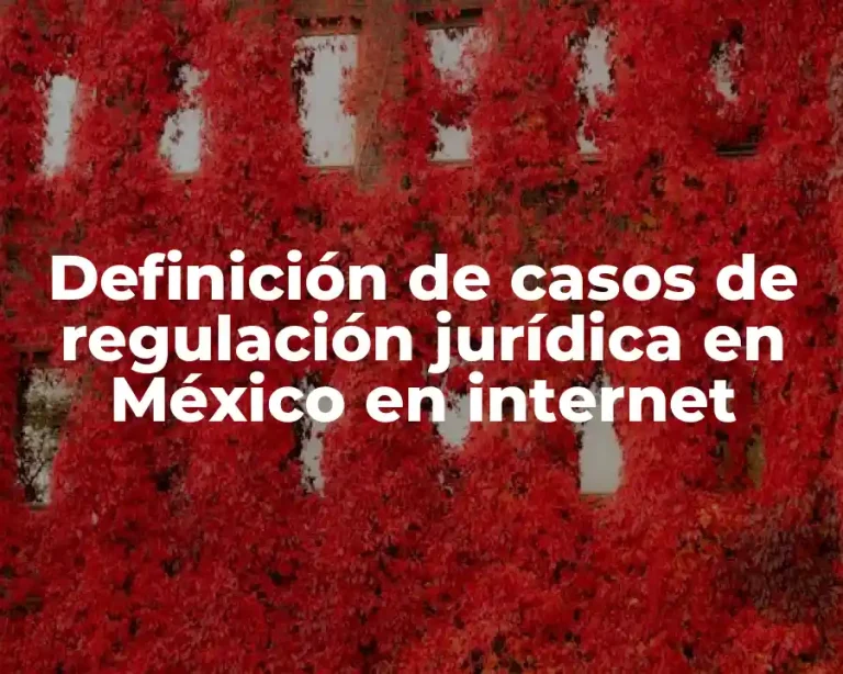 Definición de casos de regulación jurídica en México en internet