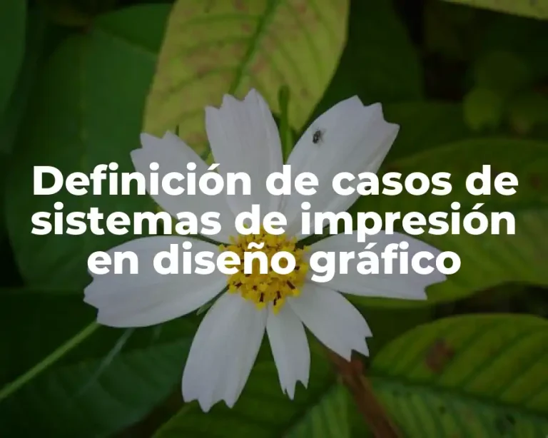 Definición de casos de sistemas de impresión en diseño gráfico