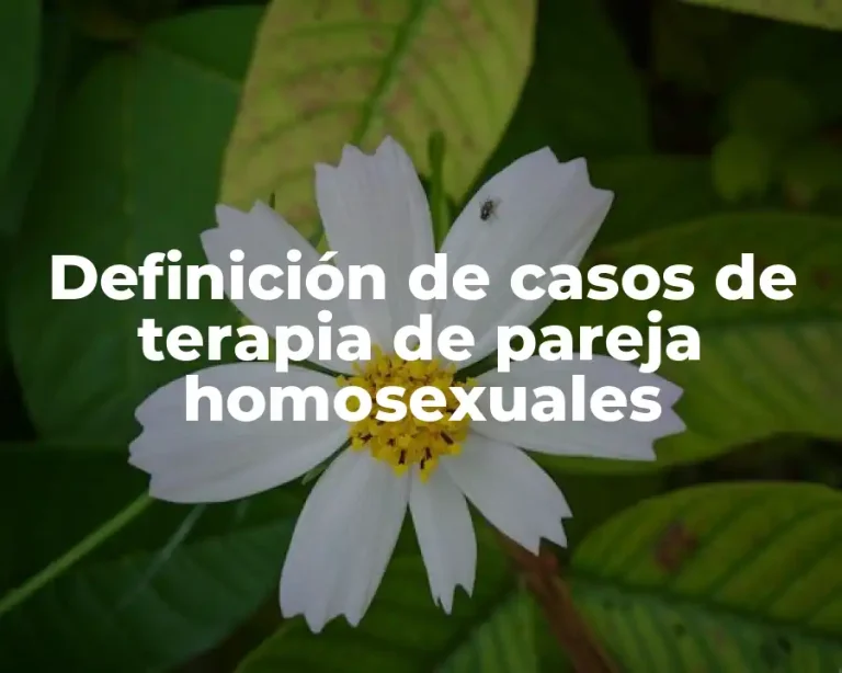 Definición de casos de terapia de pareja homosexuales