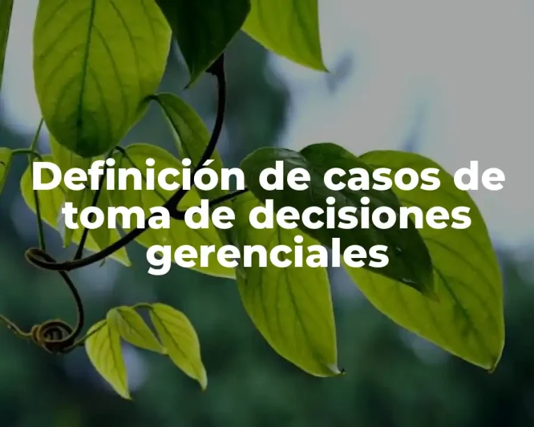 Definición de casos de toma de decisiones gerenciales