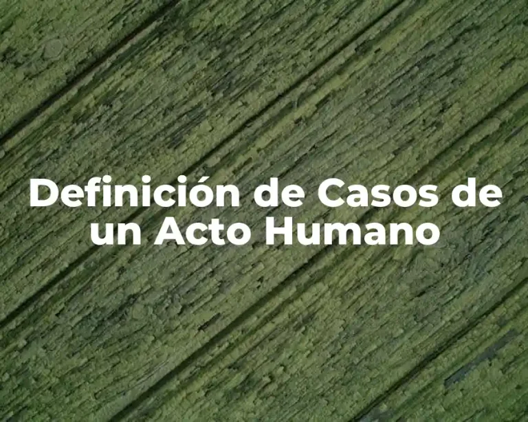 Definición de Casos de un Acto Humano
