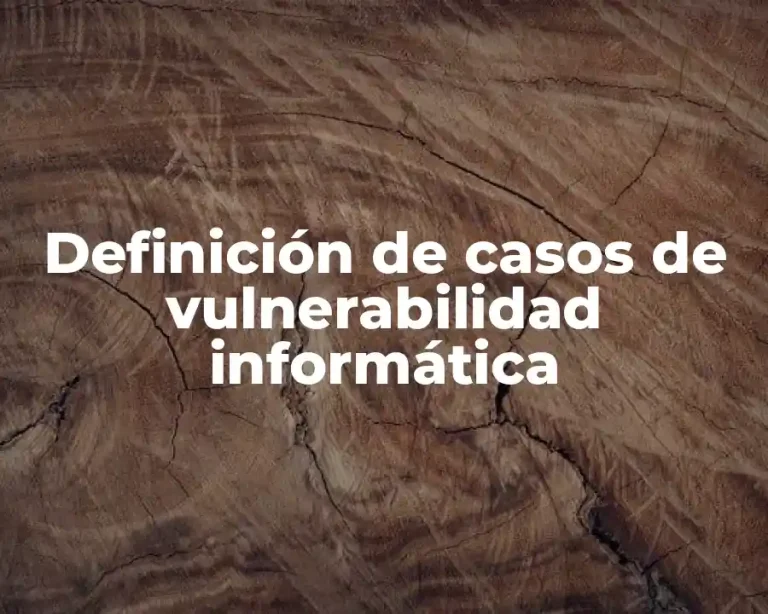 Definición de casos de vulnerabilidad informática