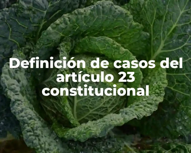 Definición de casos del artículo 23 constitucional