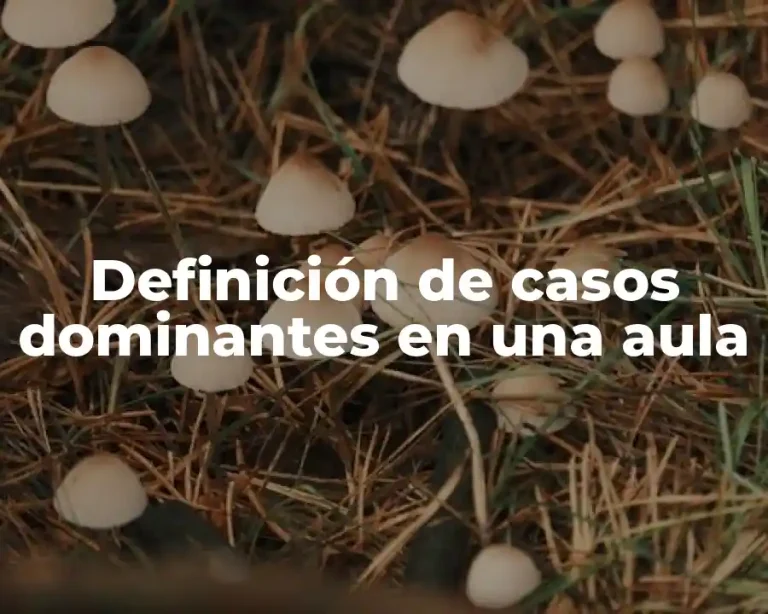 Definición de casos dominantes en una aula