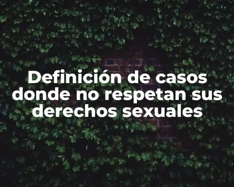 Definición de casos donde no respetan sus derechos sexuales