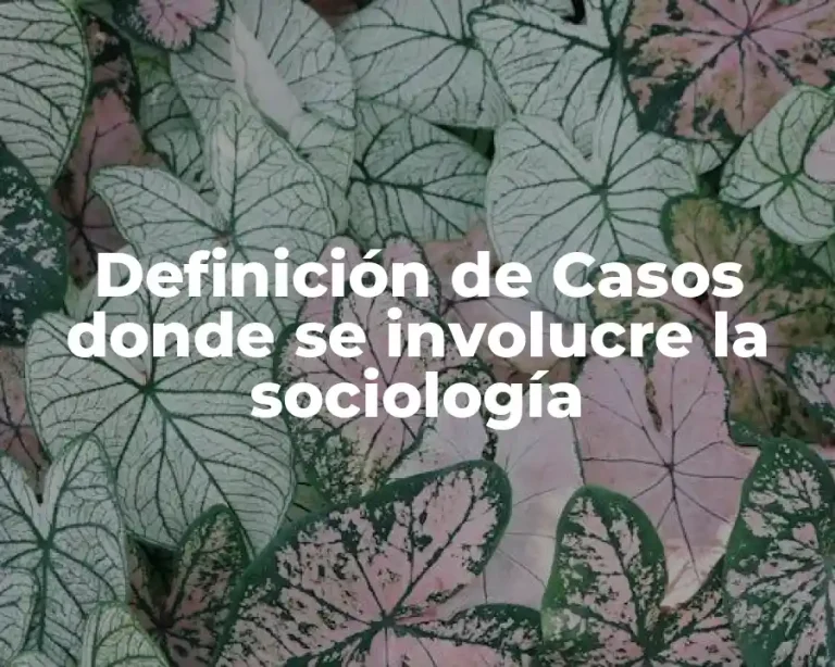 Definición de Casos donde se involucre la sociología