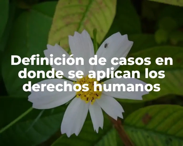 Definición de casos en donde se aplican los derechos humanos