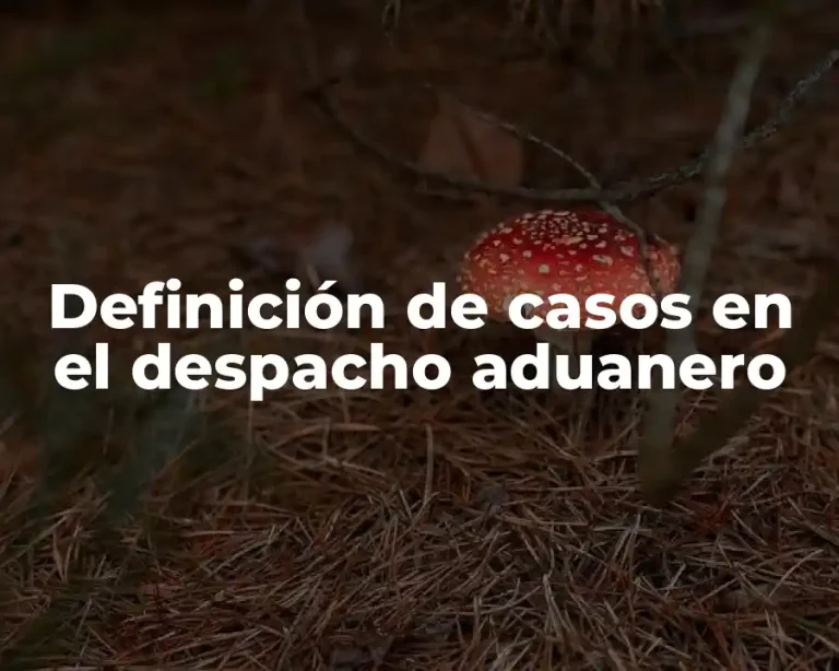 Definición de casos en el despacho aduanero