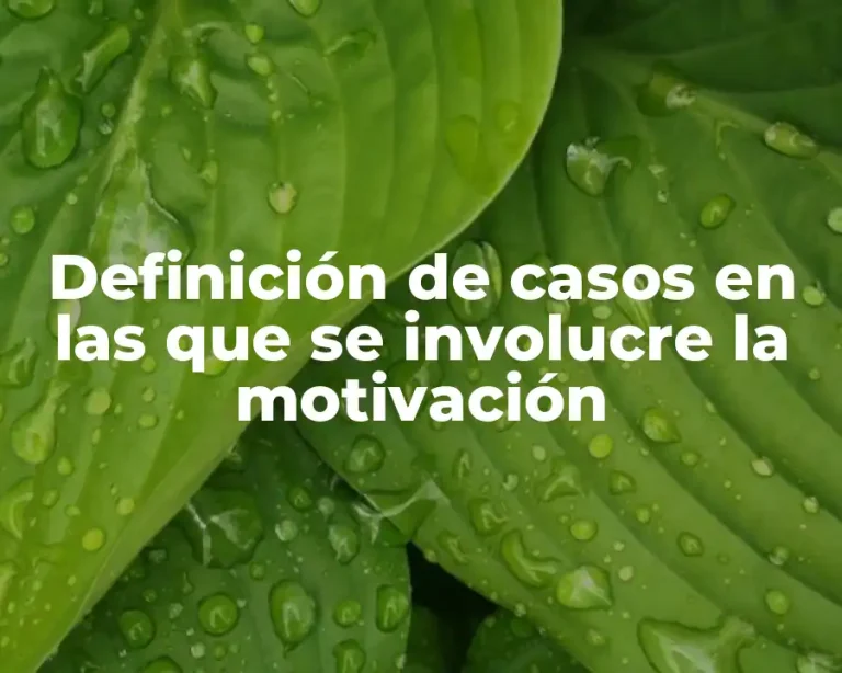 Definición de casos en las que se involucre la motivación
