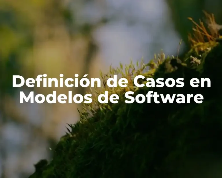 Definición de Casos en Modelos de Software