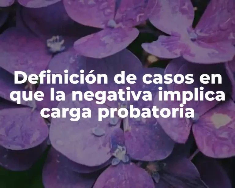 Definición de casos en que la negativa implica carga probatoria