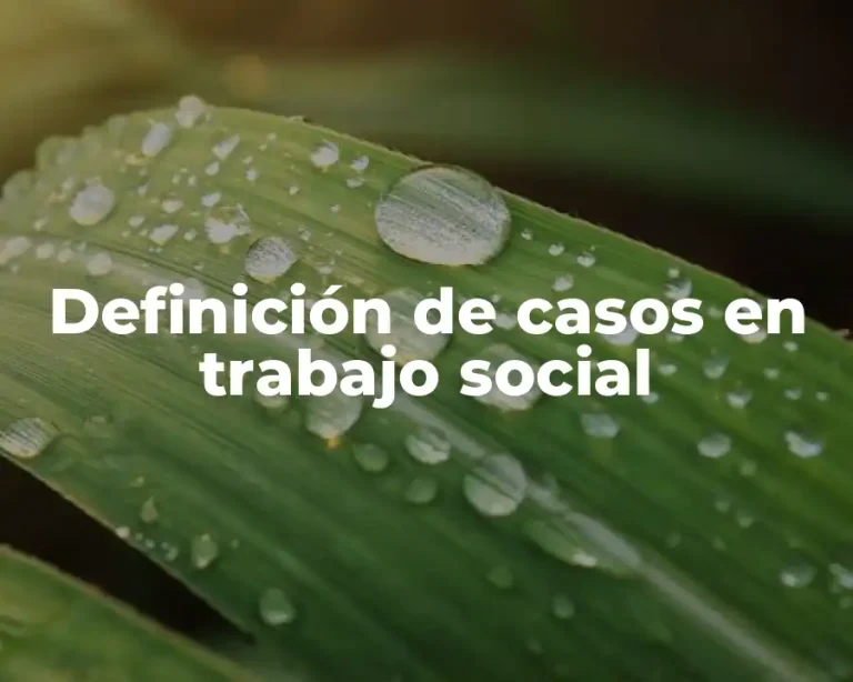 Definición de casos en trabajo social