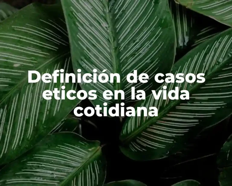 Definición de casos eticos en la vida cotidiana