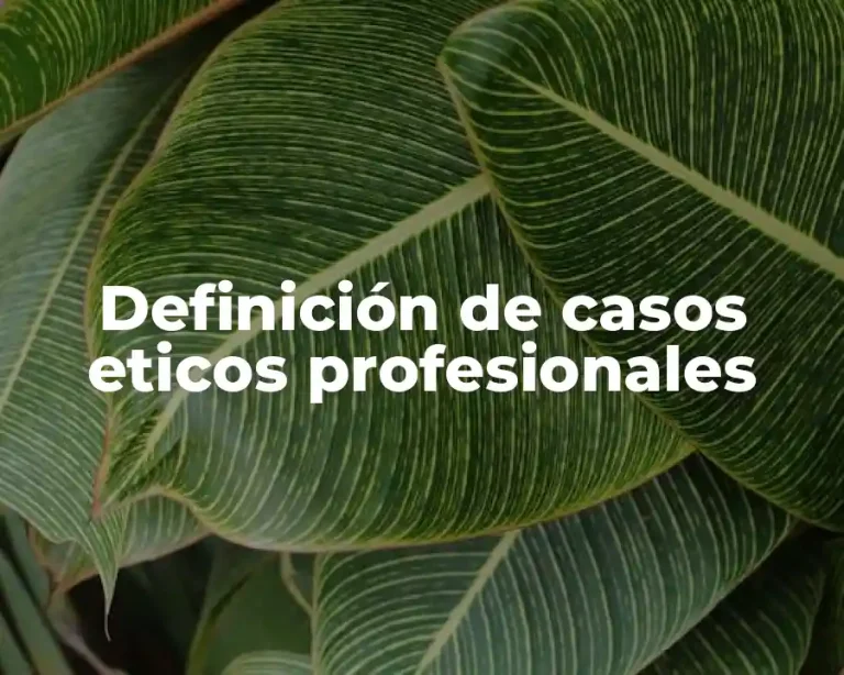 Definición de casos eticos profesionales